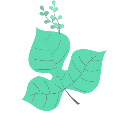 illustration of leaf